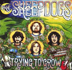 The Sheepdogs : Trying to Grow